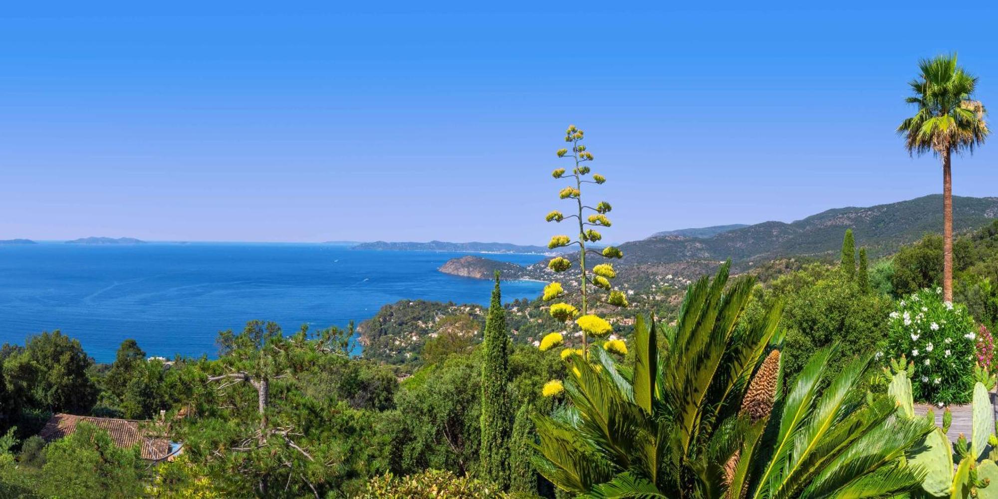 Vistazur Luxueux Appartement Avec Terrasse Et Piscine Le Le Rayol-Canadel-sur-Mer Eksteriør billede